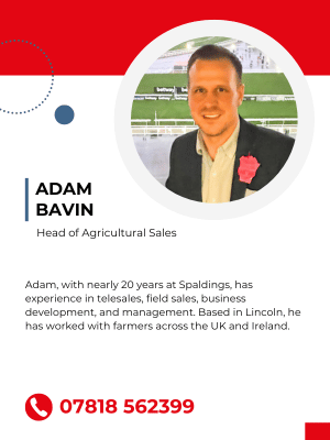 Adam Bavin